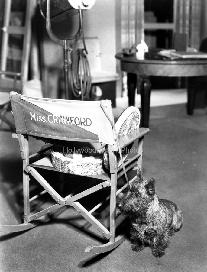 Joan Crawford 1953 Her pet terrier waiting for her wm.jpg